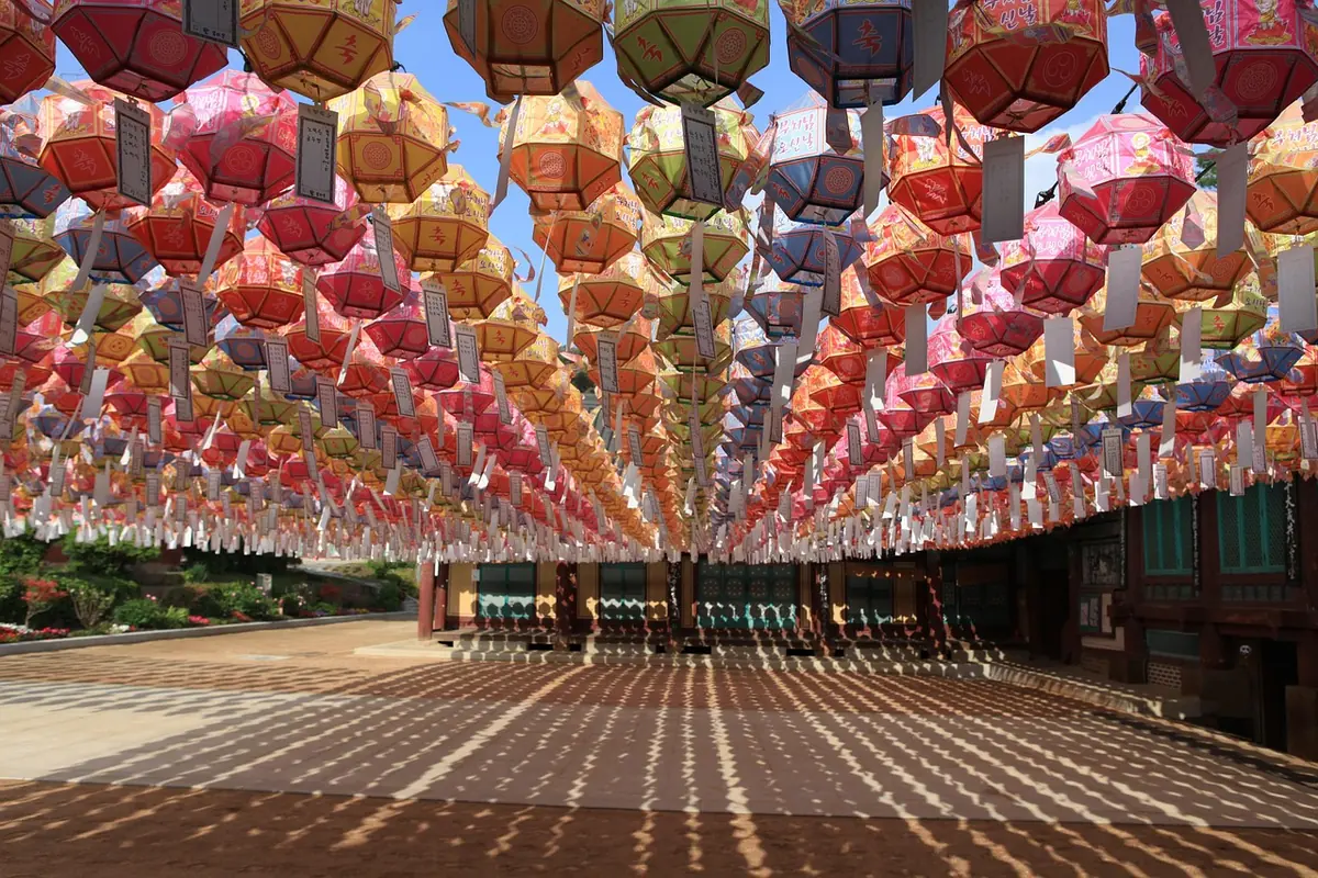 Rows of colorful lotus lanterns at a Korean temple